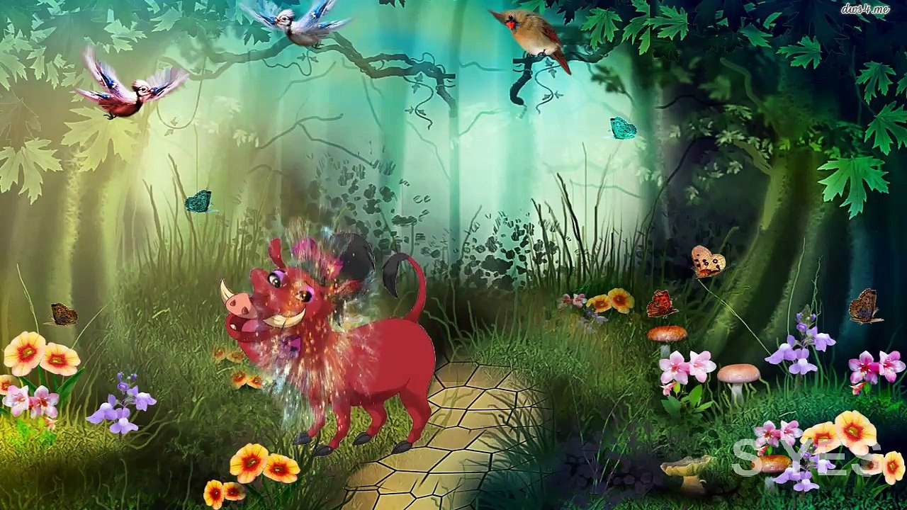 Timon and Pumba Finger Family Nursery Rhymes | Children Finger Family Rhymes For Kids
