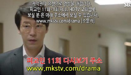 피고인 11회 170227