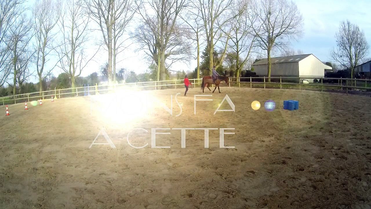elsa premier trot monté 25.02.17