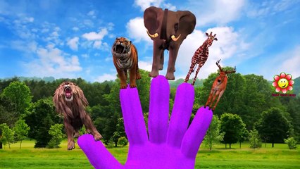 Finger Family Animals Cartoon Collection Learn Animals For Babies Nursery Rhymes Children