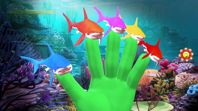 Colors Gorilla Dinosaurs Lion Elephant Sea Animals Shark Godzilla Finger Family Nursery Rh