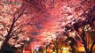 ［4K］Tokyo trave東京の夜桜 Cherry blossom evening in Tokyo 東京観光,東京ミッドタウン,目黒川,上野公園,千鳥ヶ淵,東京花見, Japan Trip