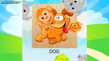 Animals Puzzles For Kids: Learn Animals And Insects. Learn English. Educational Video For Kids.