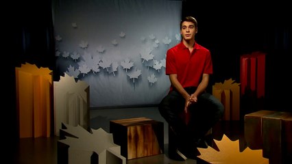 2016 Nicolas Nadeau Face à l'avenir Fluff (French) 720p