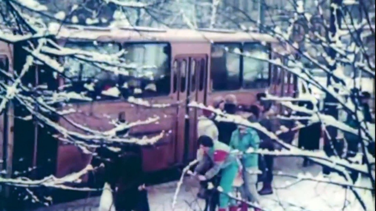 Forest Wish - Christos Fourkis..Raupenonkel...(Musik bricht Grenzen Remix)