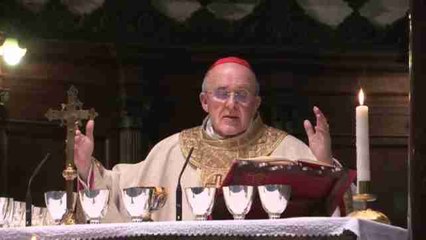 Osoro ya es cardenal de Santa María de Trastévere en Roma