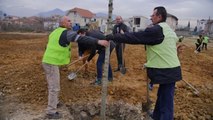 Veliaj-kritikëve: Kapni lopatën e mbillni pemë - Top Channel Albania - News - Lajme