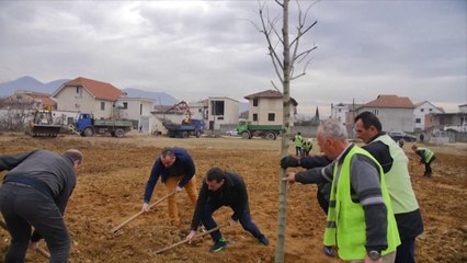 Video herunterladen: Report TV - Tiranë, nis ndërtimi i një parku të ri urban në Laprakë, mbillen 320 pemë