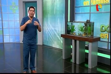 Doctor en Familia: cómo enfrentar y resolver las emergencias en la playa