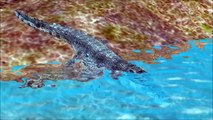 Bull Shark Vs Deadly Crocodile Attack Each Other| Sea Animals Finger Family Rhymes