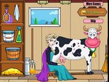 Cow Videos for Children, More Cows for Kids