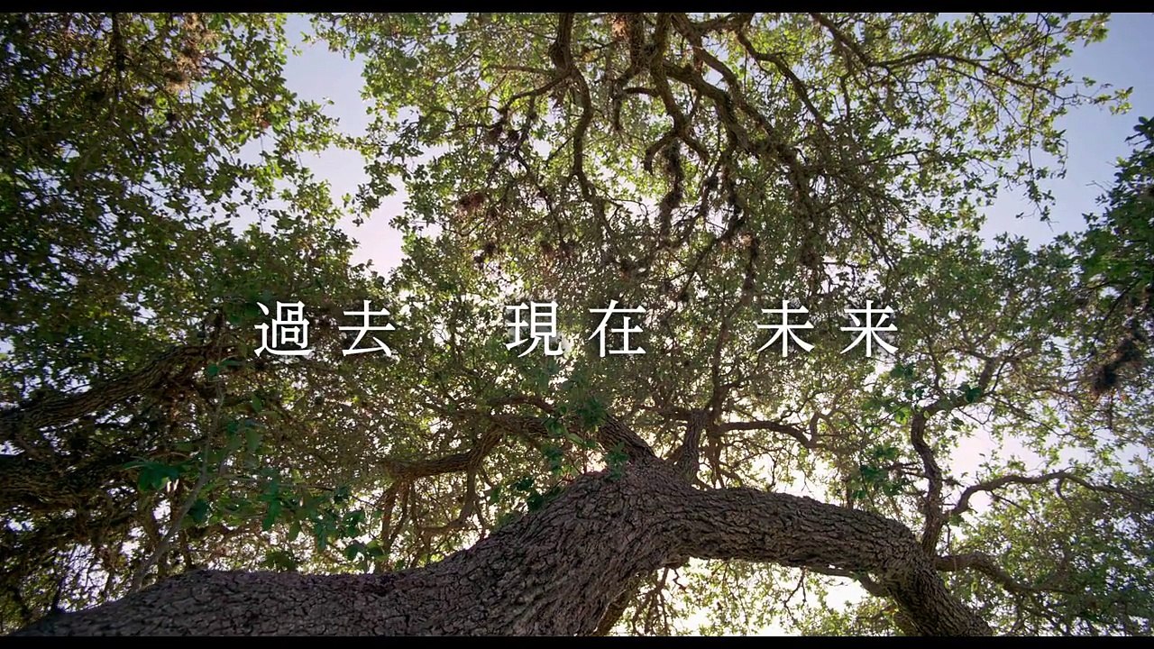 ボヤージュ・オブ・タイム - 映画予告編-WWuAZGp-ZmE