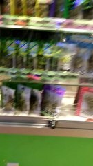 Smoke break 420 .....The corner store