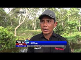 Patroli Gajah di Sumatera Utara - NET12
