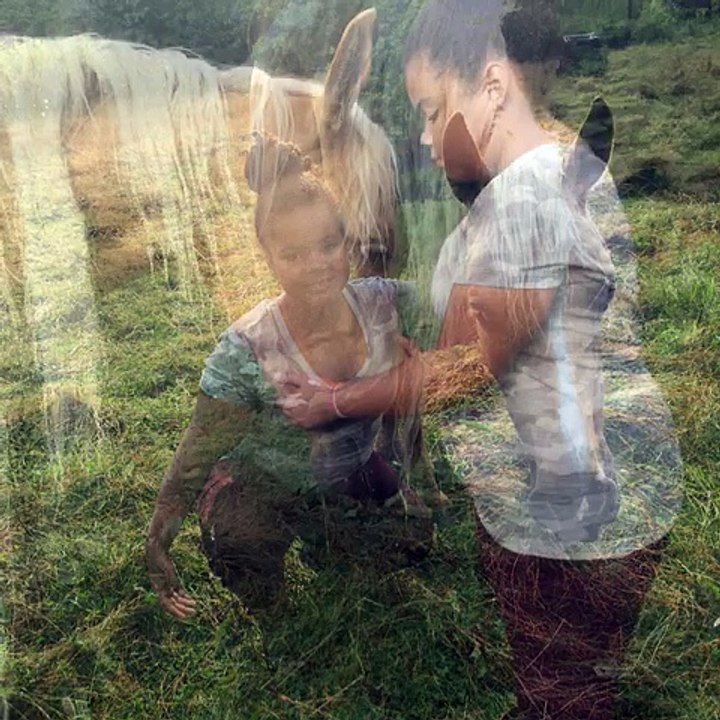 horse fun