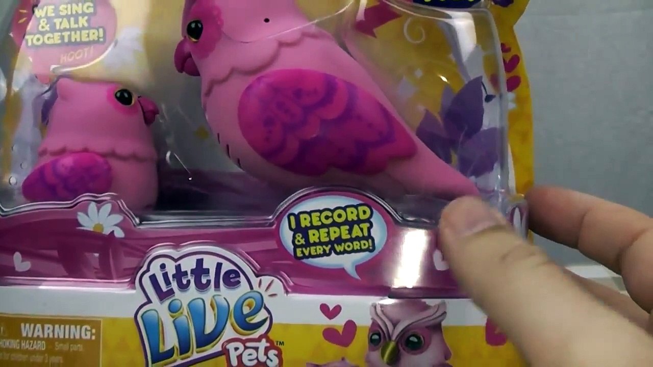 Little Live Pets Owl Tweet Talking Birds and Butterflies Toy Reviews
