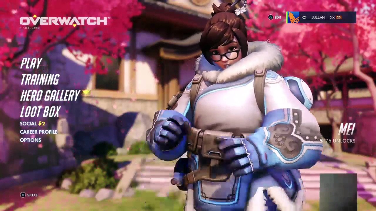 Overwatch (101)