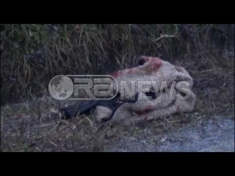 Ora News - Shkodër, “BMW” del nga rruga, humb jetën 22-vjeçari, një tjetër plagoset