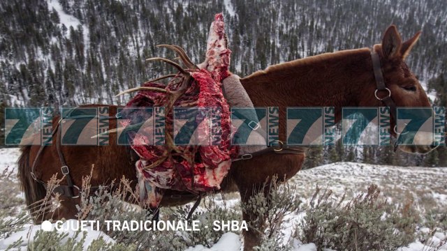 FOTOT ME TE BUKURA TE VITIT 2016 TE PERZGJEDHURA NGA NATIONAL GEOGRAPHIC - News, Lajme - Kanali 7