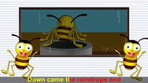 Itsy Bitsy Spider Nursery Rhyme | Itsy Bitsy Spider Nursery Rhymes Learning for Kids