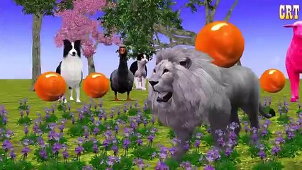 All Animals Colourful Colour Song || Nursery Rhymes Compilation # Cartoon For Kids Rhymes