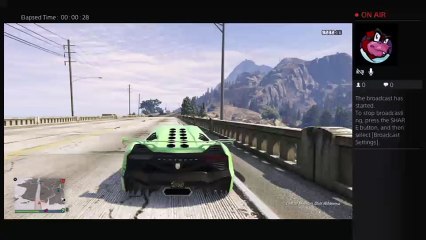 Gta5 glichs (5)