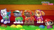 Paw Patrol Sticker Finger Family Songs Nursery Rhymes By Sticker Finger Family