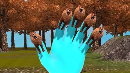 Tiger Finger Family | Lion Cheetah 3D Animated Finger Family Rhymes For Babies | Animals C
