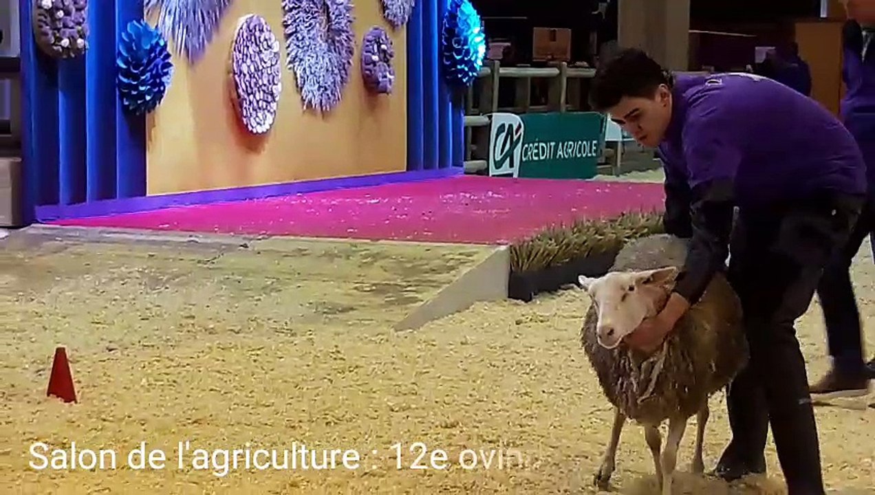 Salon de l'agriculture : 12e ovinpiades des jeunes Bergers