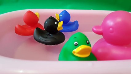 Five Little Ducks with Lyrics | LIV Kids Nursery Rhymes and Songs | HD