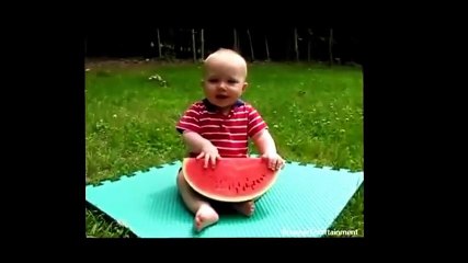 Funny kids fail compilation - Funny animals - Try not to laugh or grin