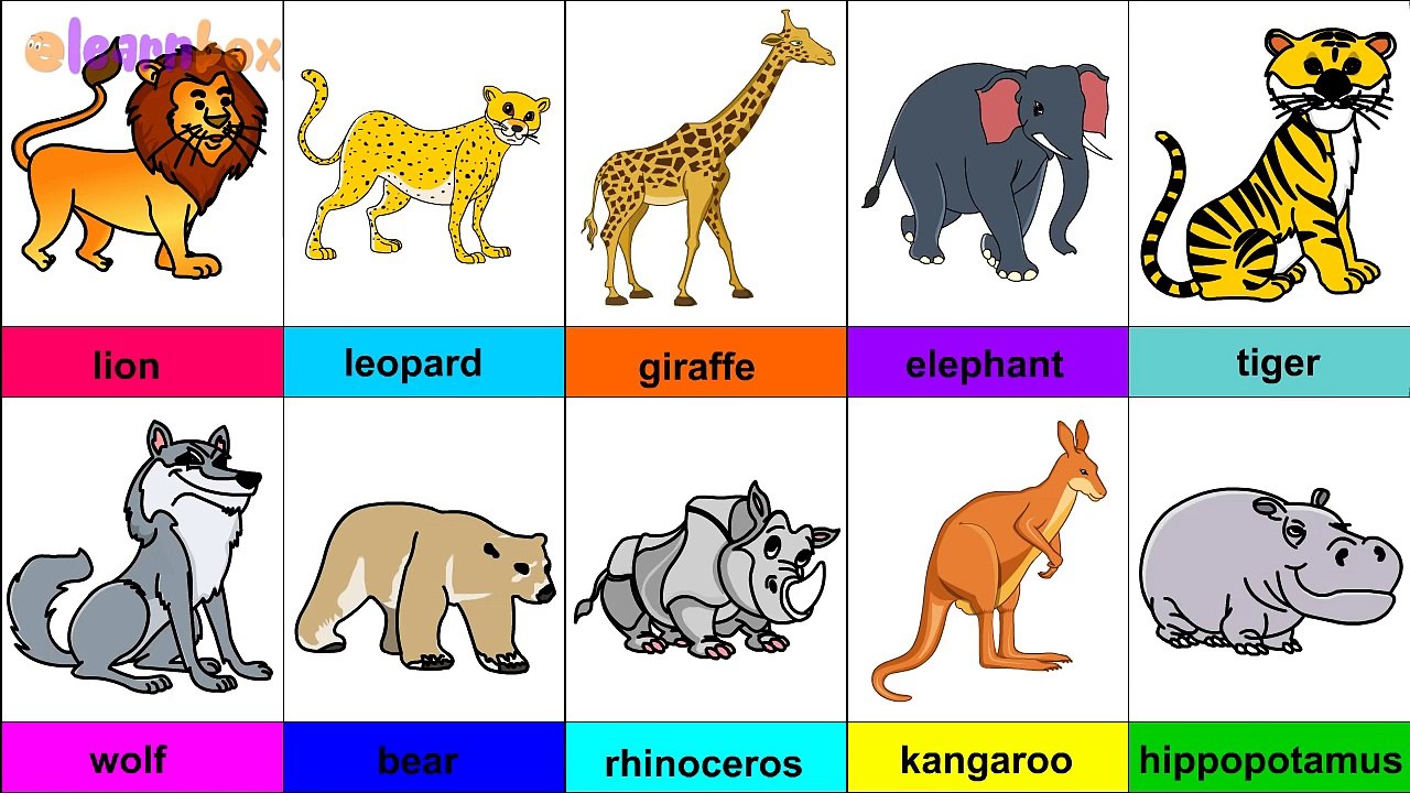 Learn Wild Animals & their Names free for Nursery Children ...