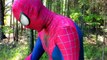 SPIDERMAN Steals Cookies from COOKIE MONSTER | DCTC Superheroes IRL Videos