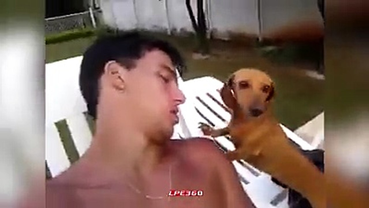 Funny video