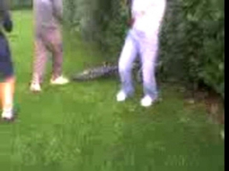 mange les buisson !!