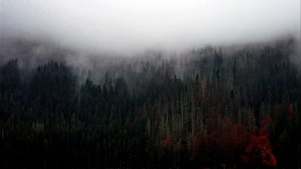 Abraham Hicks 2017 - A Really Fun Story About Focus