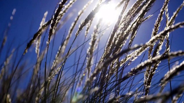 Sensibilisation des sportifs pour la préservation des milieux naturels