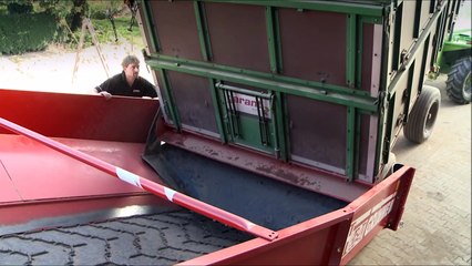 Patates & Soğan istifleme makinesi