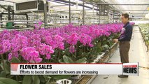 Efforts to boost demand for flowers are increasing