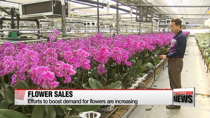 Download Video: Efforts to boost demand for flowers are increasing