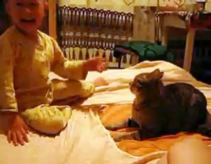Reaction of cat when child hit her slap