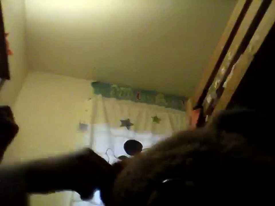 Oso Gimnasio