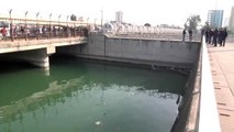 Seyhan Nehri'nde Erkek Cesedi Bulundu
