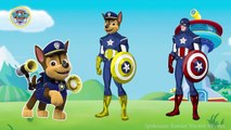 Paw Patrol Transforms Into Captain America - Paw Patrol Finger Family Nursery Rhymes Song