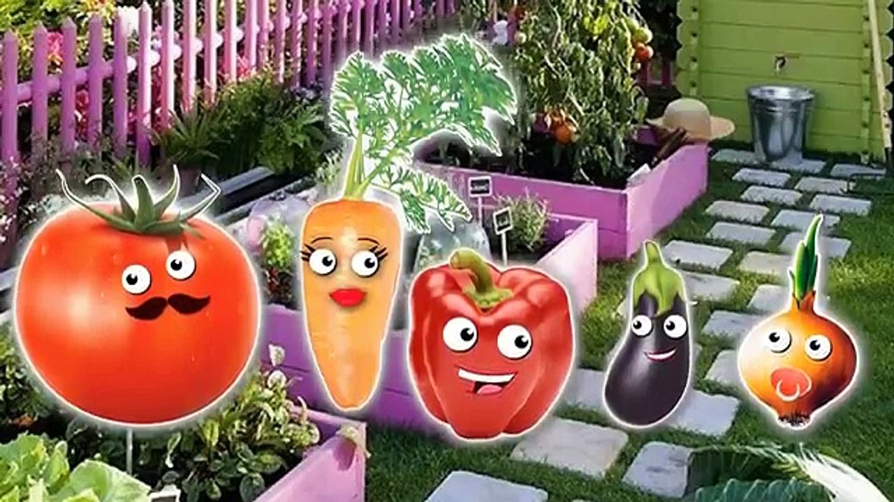 Vegetable Store Finger Family Nursery Rhymes Lyrics