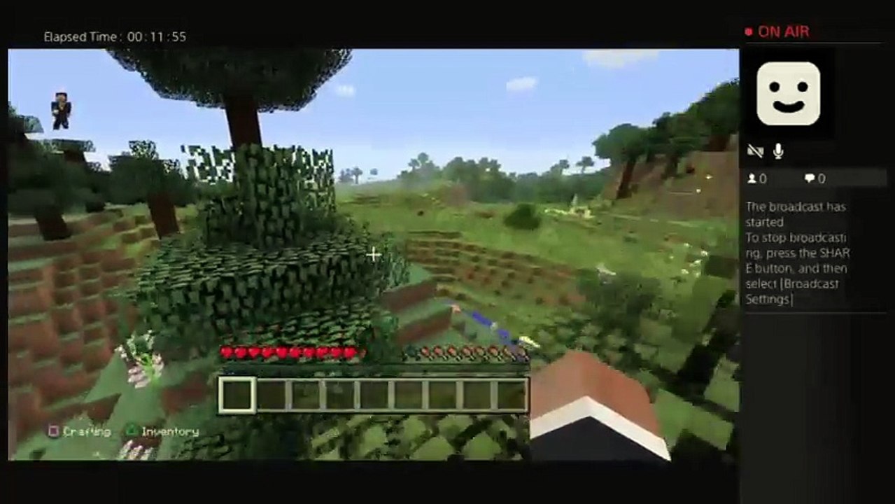 Minecraft (38)