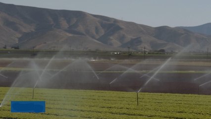 Will Trump's Deportation Policy Drive Up Farm Wages