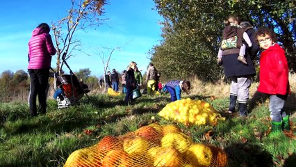 2017 Dastummadeg Avaloù da Gewenn * Trigone Produktion