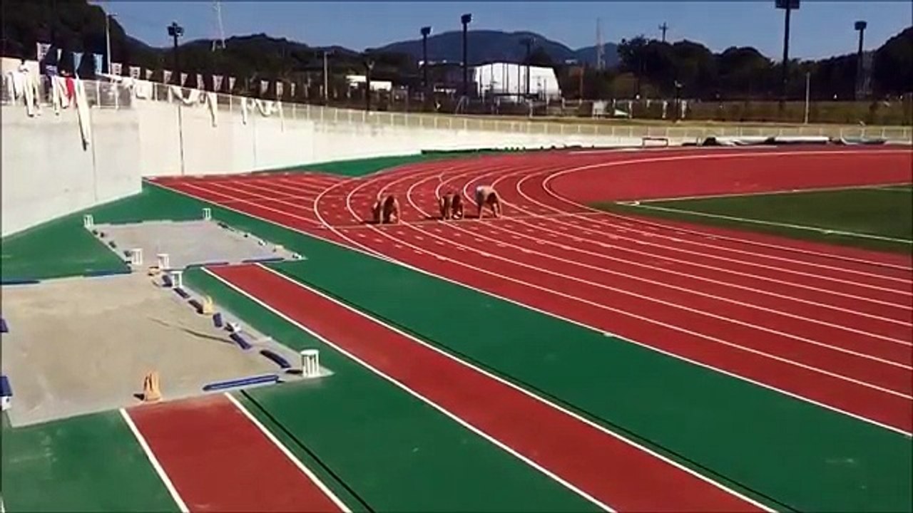 Quand 3 lutteurs sumos courent plus vite qu’Usain Bolt