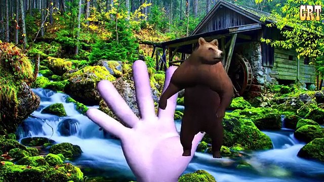 Colours Animals Finger Family Rhymes | Colors Spiderman Finger Family Nursery Rhymes Colle